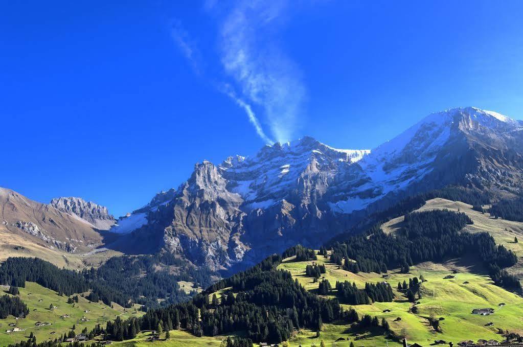 Hotel Bristol Relais Du Silence Superior Adelboden Kültér fotó